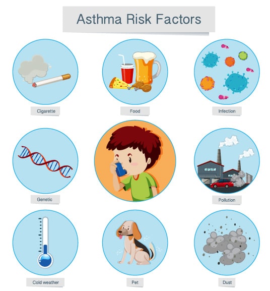 6 Asthma Causes And Triggers: Can You Blame Allergy, Genetics, Food ...