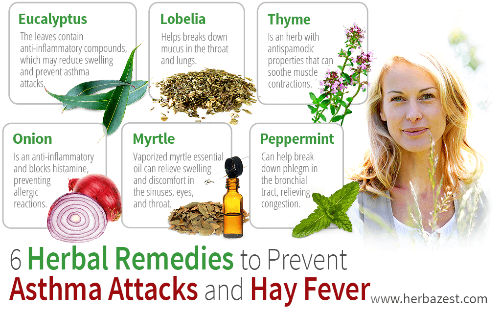 6 Herbal Remedies to Prevent Asthma Attacks and Hay Fever ...