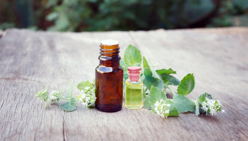 8 Essential Oils to Rejuvenate Your Lungs and Ease Your Asthma