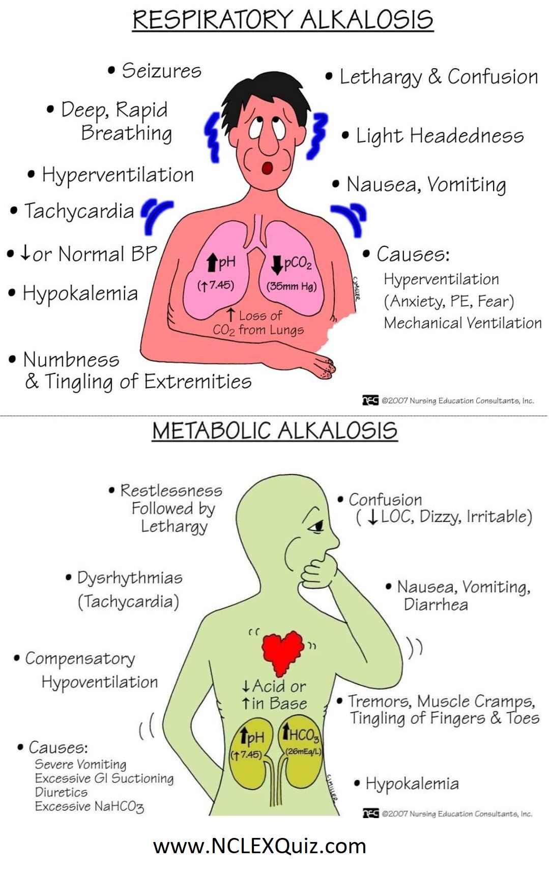 Asthma Attack Respiratory Alkalosis