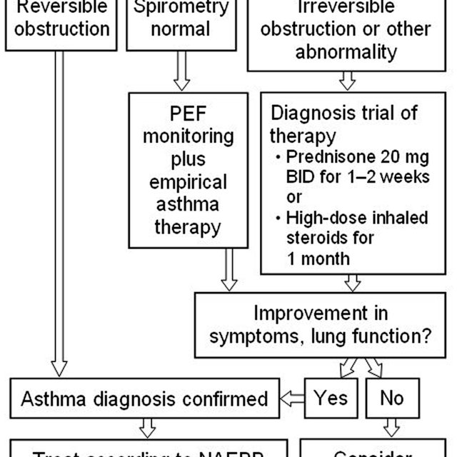 Asthma diagnosis algorithm. PEF peak expiratory flow. BID ...