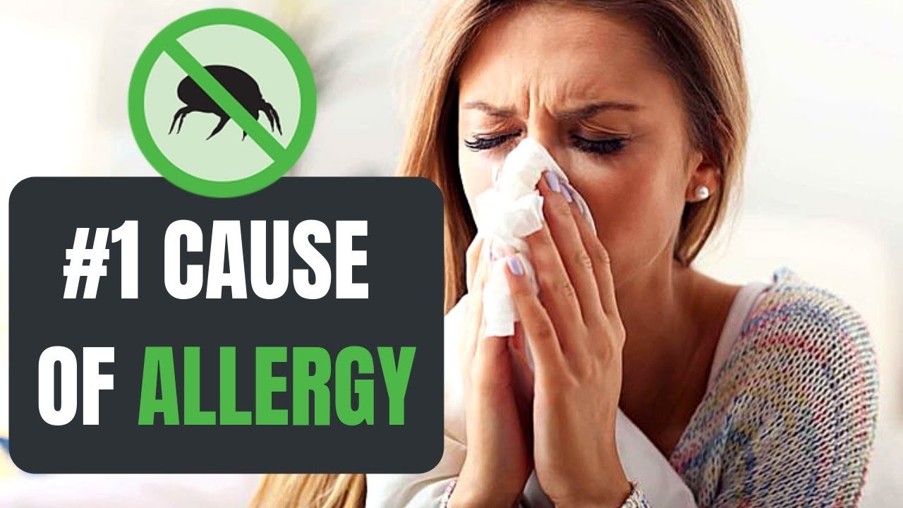 Dust Mites are the #1 cause of allergy and asthma symptoms