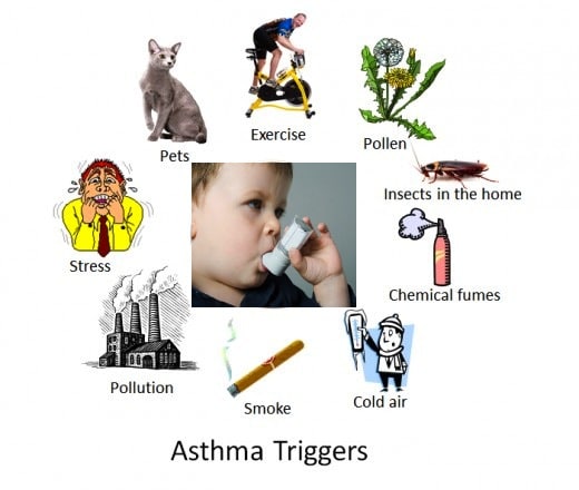 Factors That Can Trigger Asthma Attacks in Children