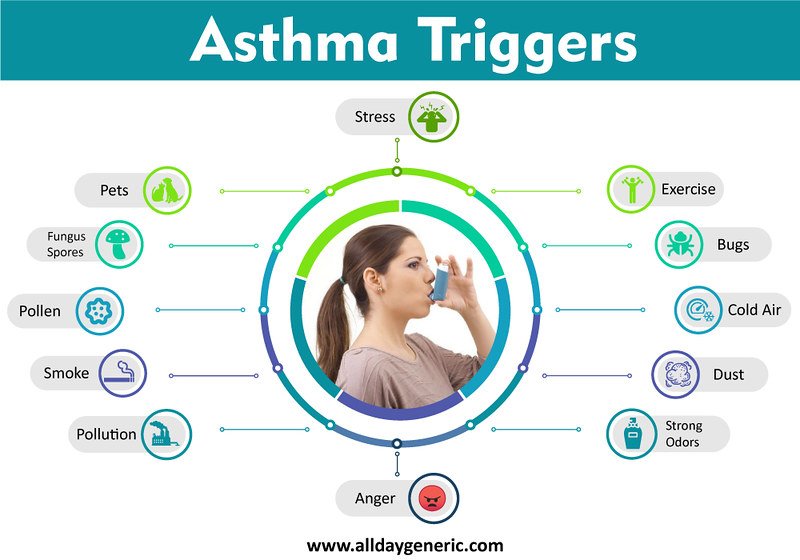 Prevent Asthma: 6 Tips Starting from Home