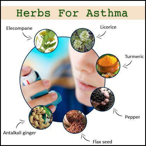Top 10 Herbs for Treating Asthma