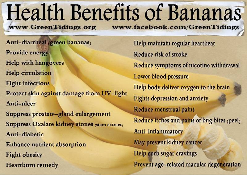 What are the Powerful Health Benefits of Bananas?