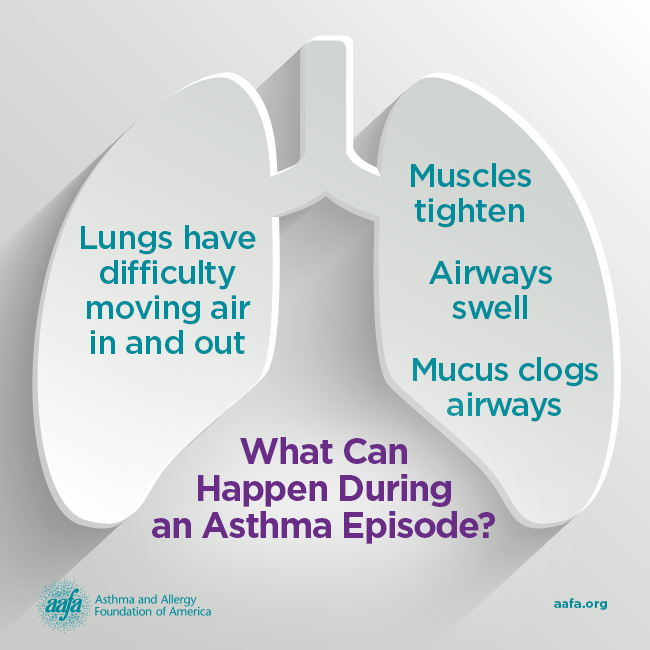 What Happens During an Asthma Episode