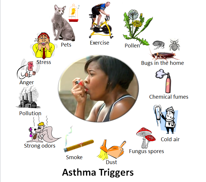 What Is Asthma? What Are Asthma Symptoms, Causes ...